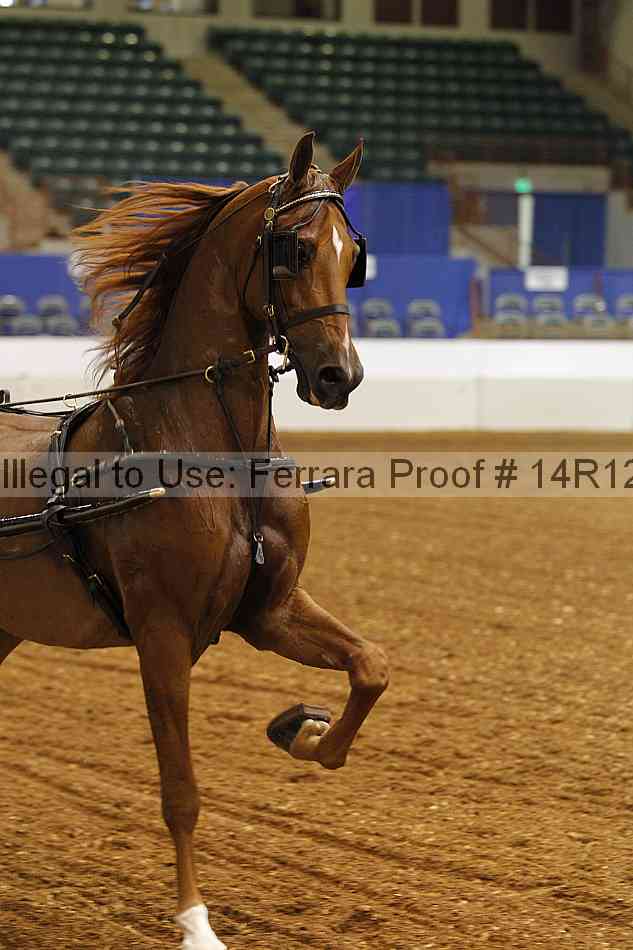 Proof 14r12_0384