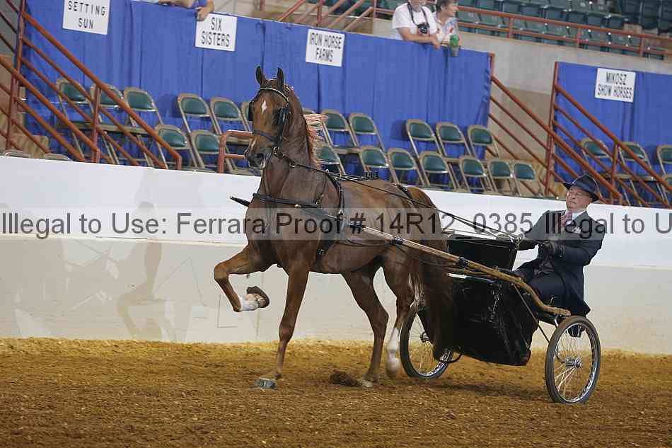 Proof 14r12_0385
