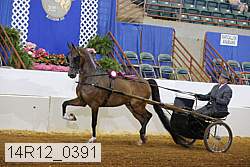 14r12_0391 proof
