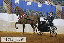 14r12_0394 proof