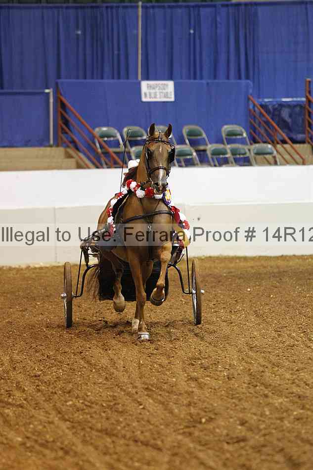 Proof 14r12_0396