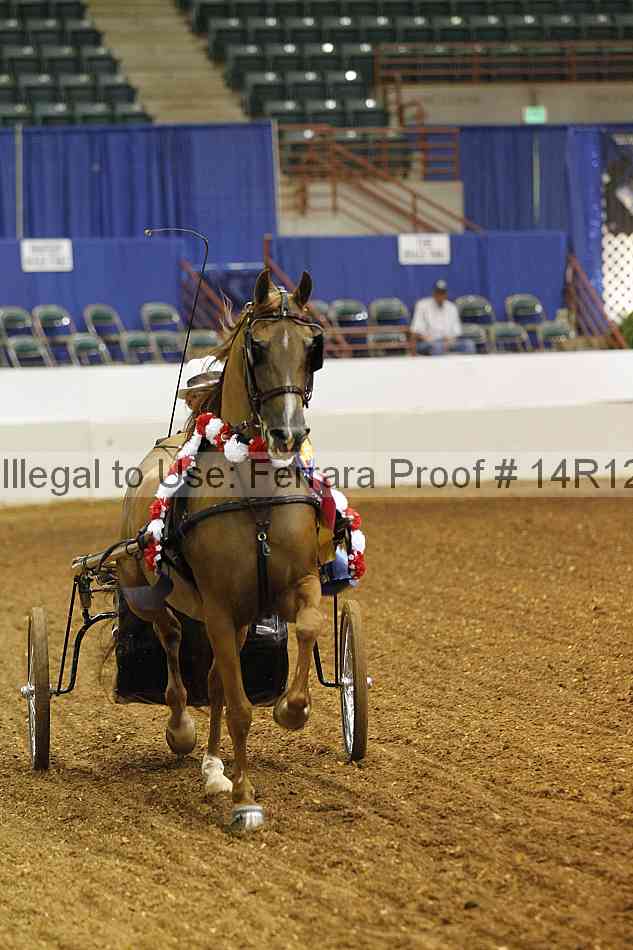 Proof 14r12_0397