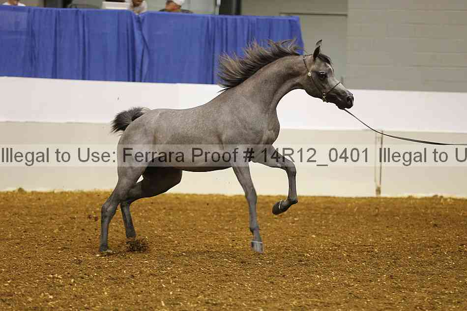 Proof 14r12_0401