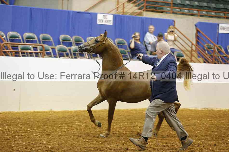 Proof 14r12_0404