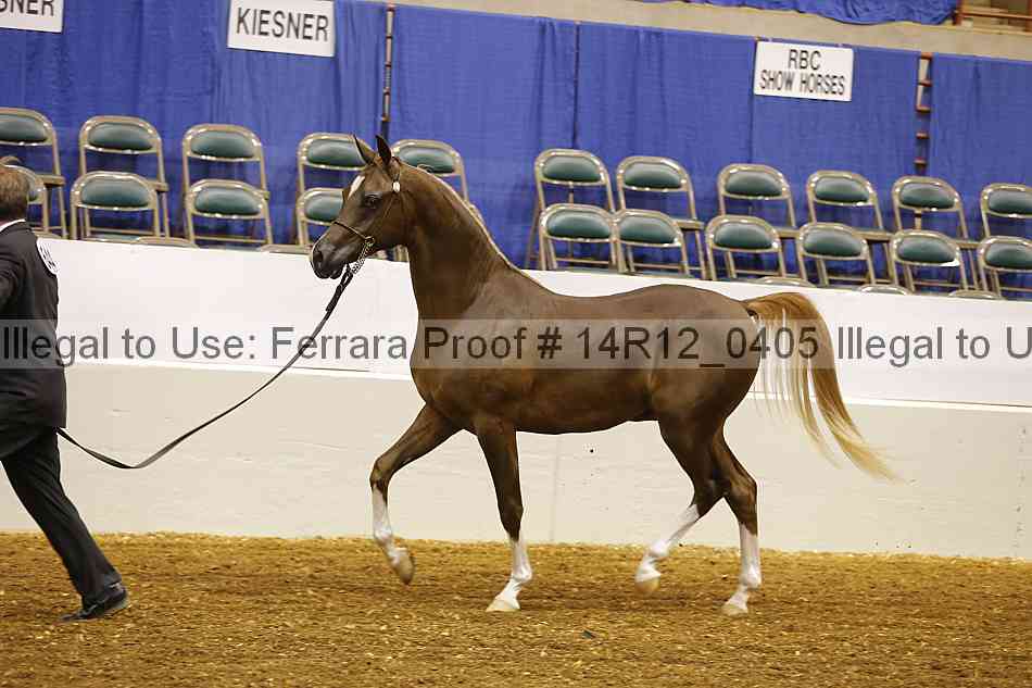 Proof 14r12_0405