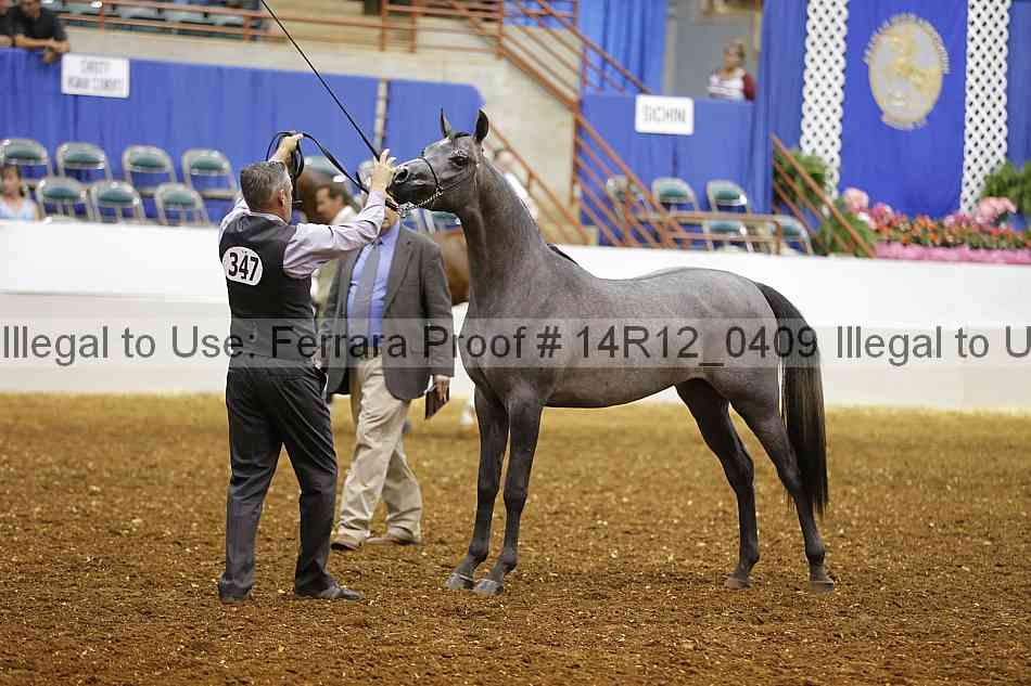 Proof 14r12_0409