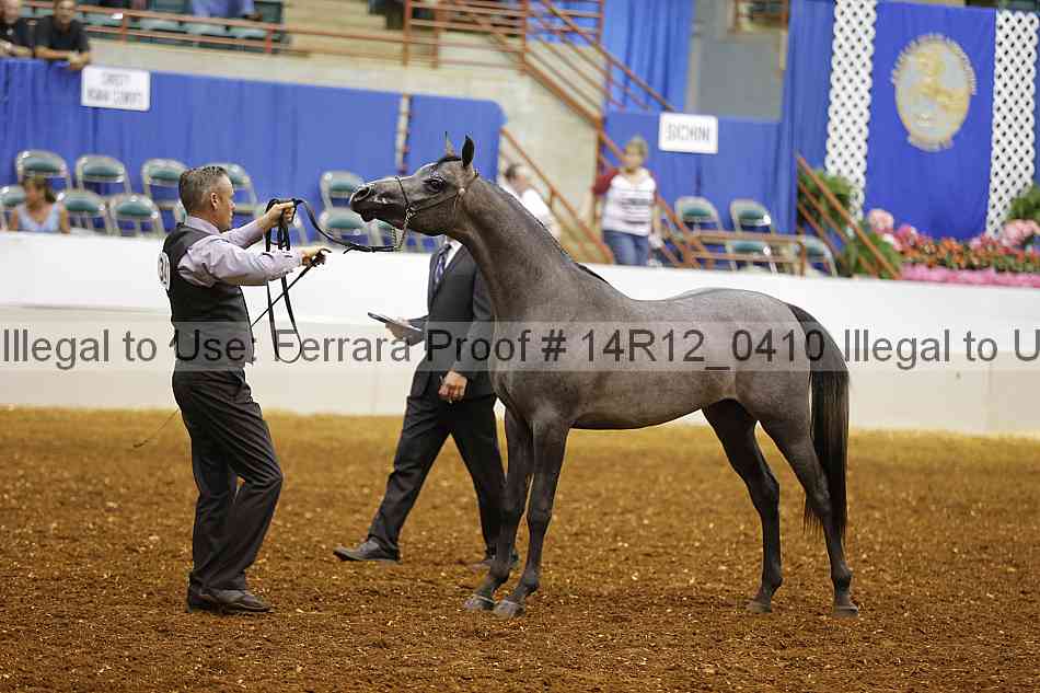 Proof 14r12_0410