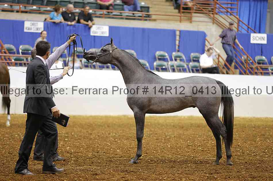 Proof 14r12_0413