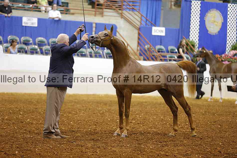 Proof 14r12_0420
