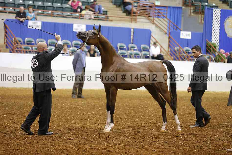 Proof 14r12_0425