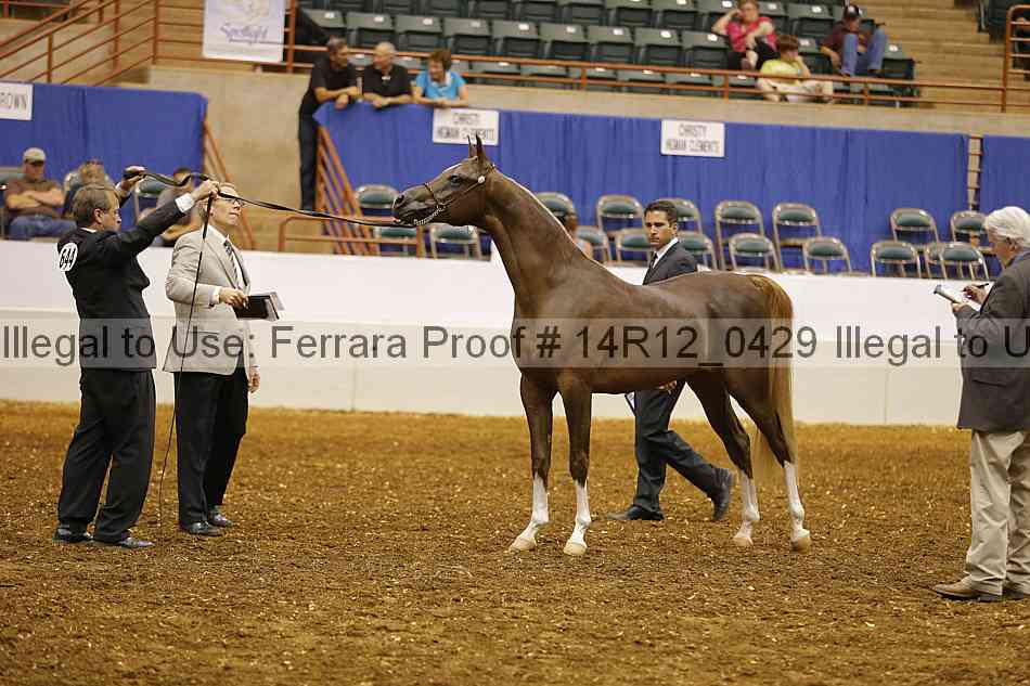 Proof 14r12_0429