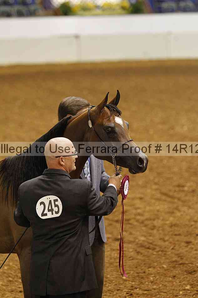 Proof 14r12_0435