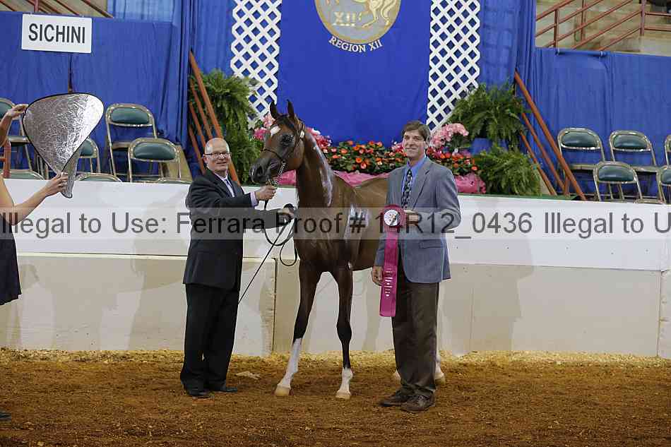 Proof 14r12_0436