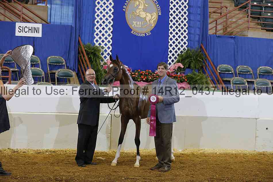 Proof 14r12_0437