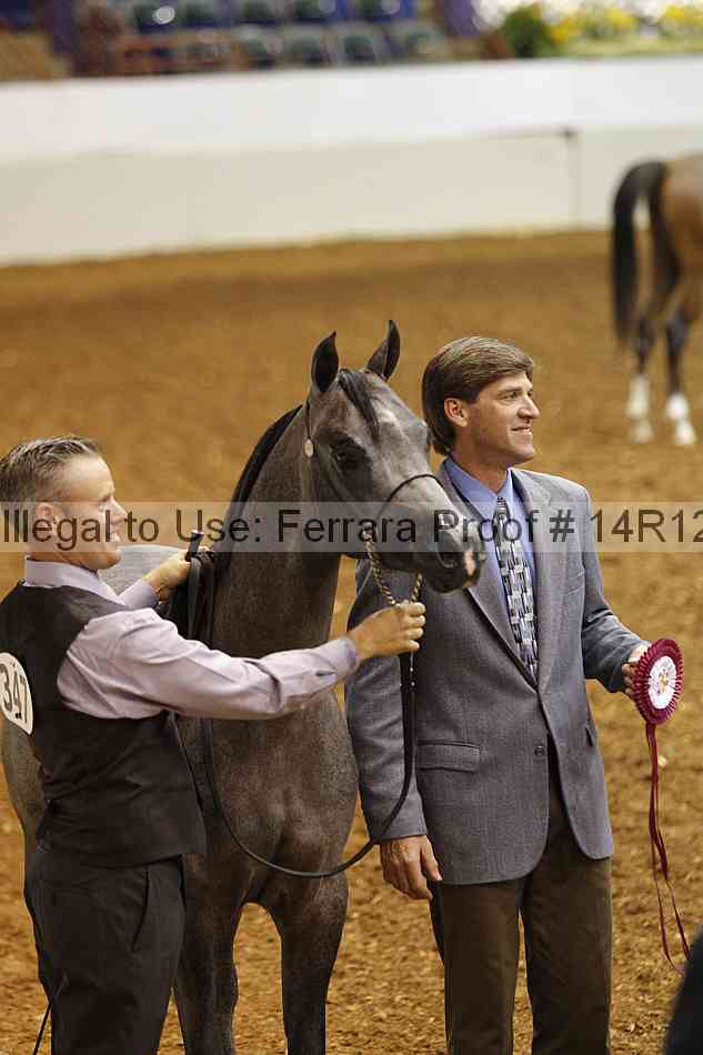 Proof 14r12_0438