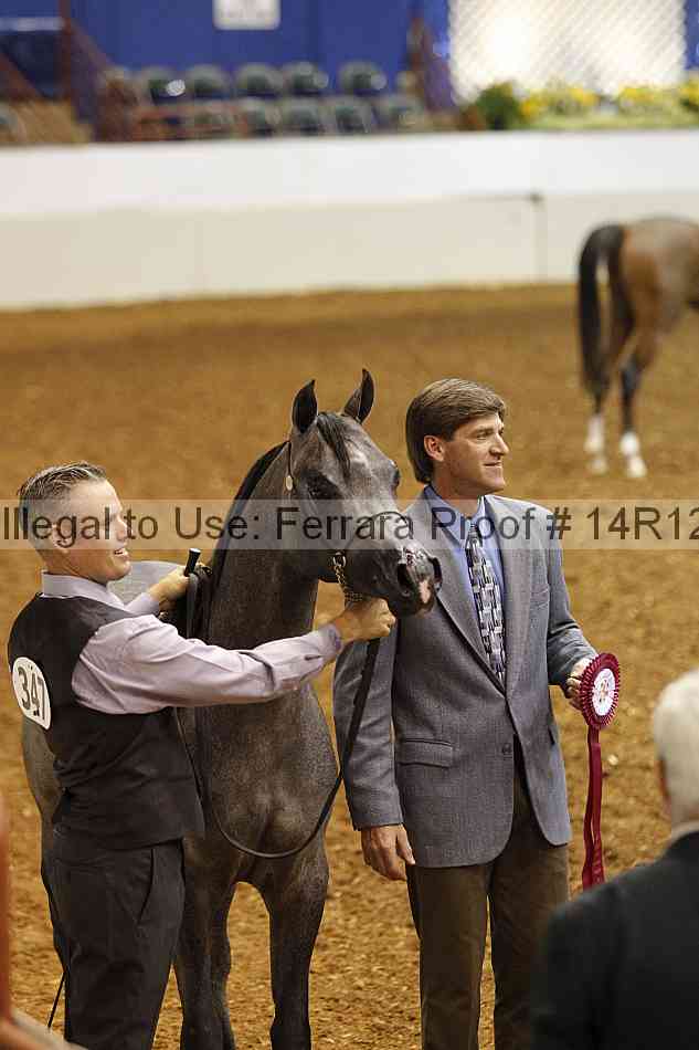 Proof 14r12_0439