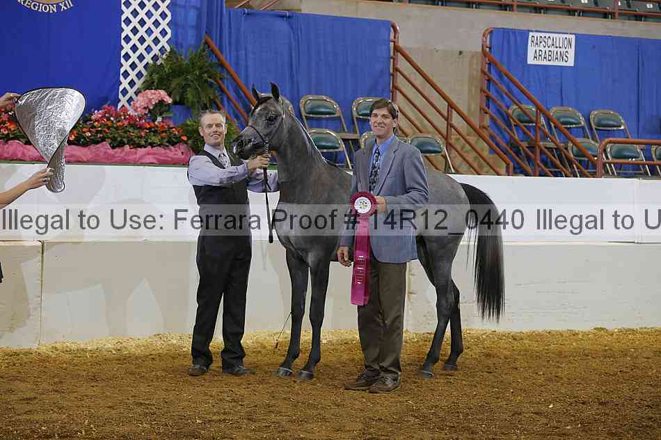 Proof 14r12_0440