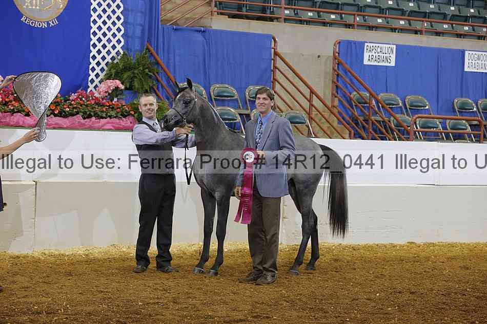 Proof 14r12_0441