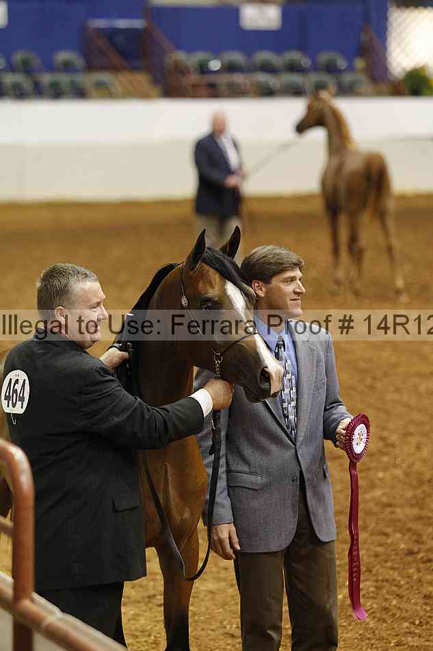 Proof 14r12_0447