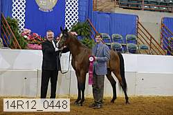 14r12_0448 proof