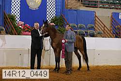 14r12_0449 proof