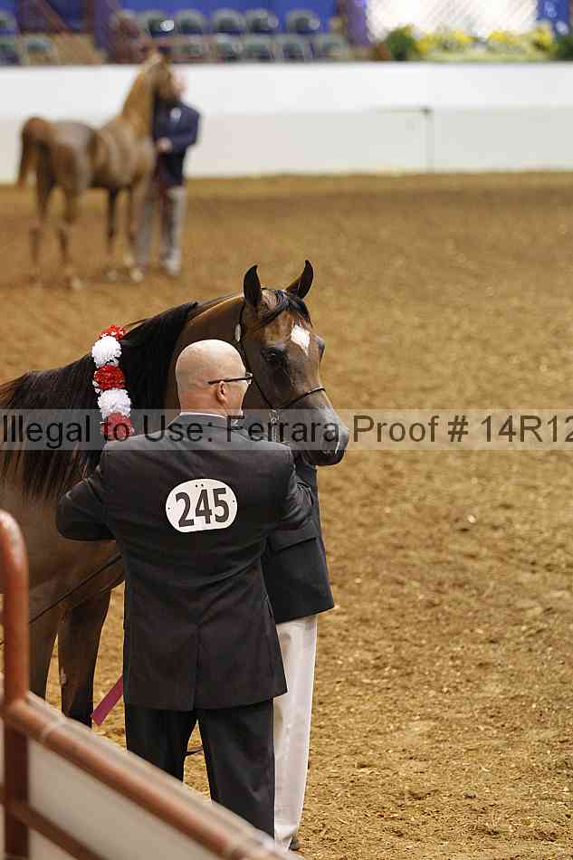 Proof 14r12_0450