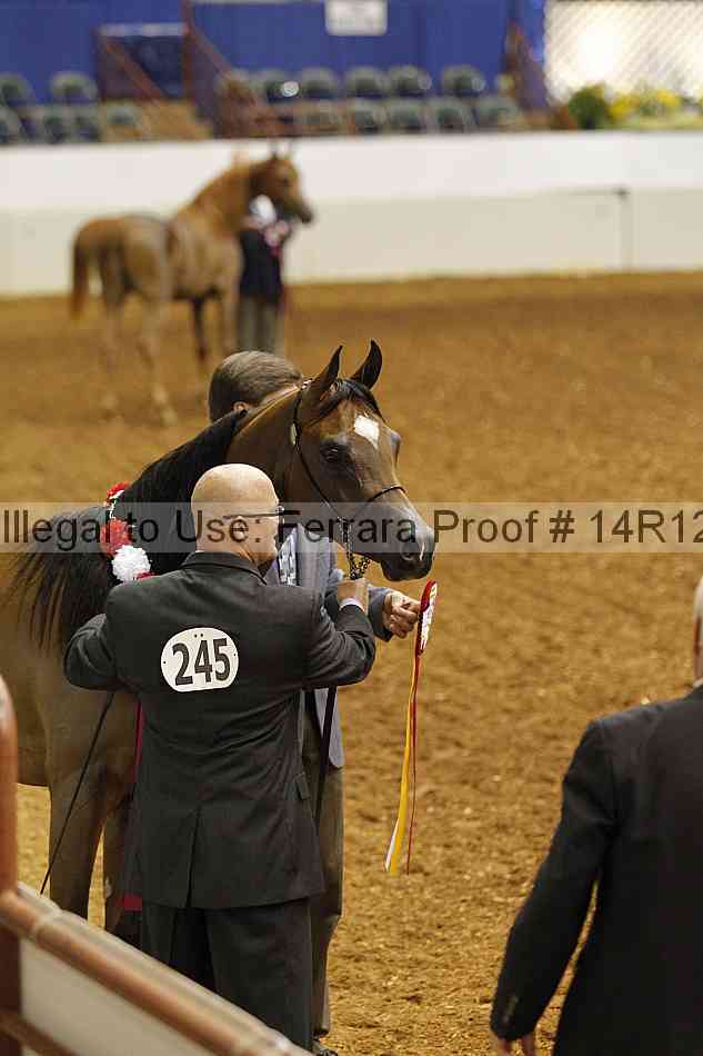 Proof 14r12_0451