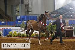 14r12_0465 proof