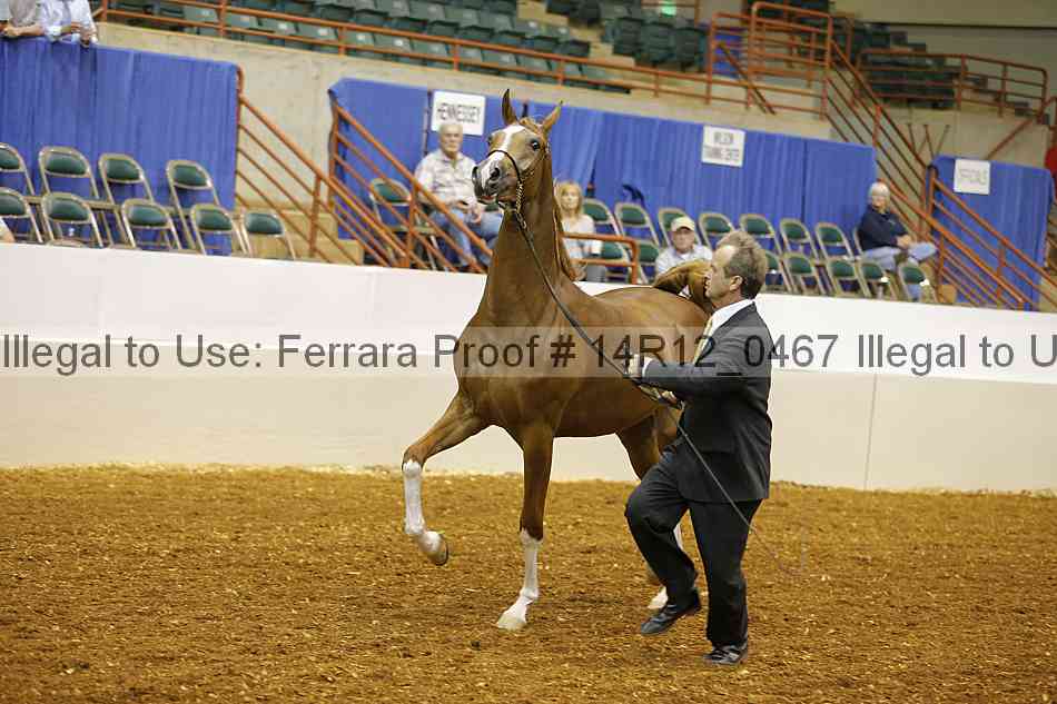 Proof 14r12_0467