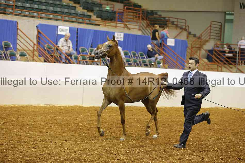 Proof 14r12_0468