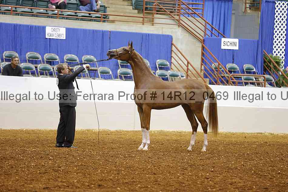 Proof 14r12_0469