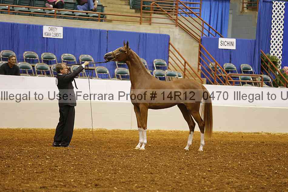Proof 14r12_0470
