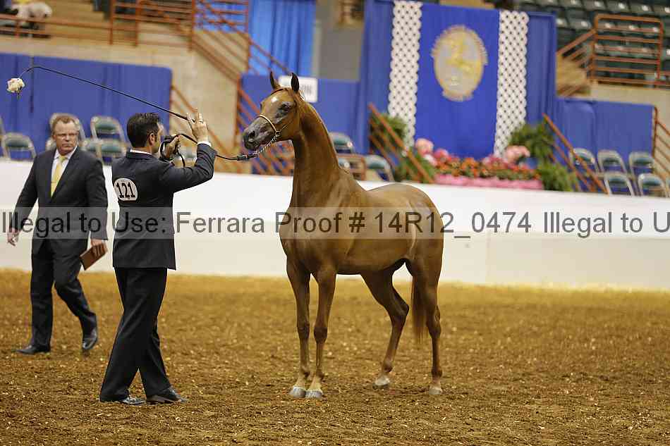Proof 14r12_0474