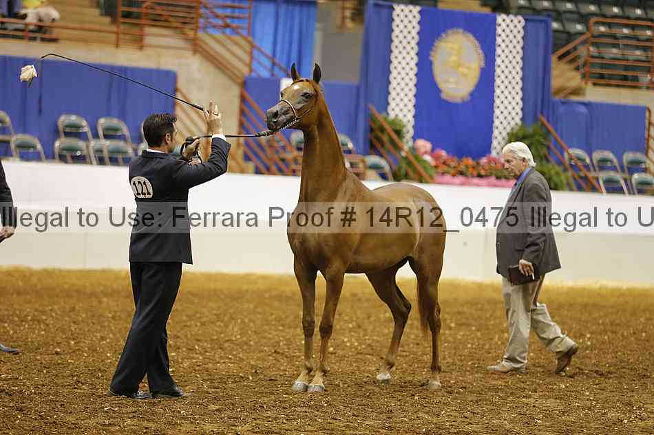 Proof 14r12_0475