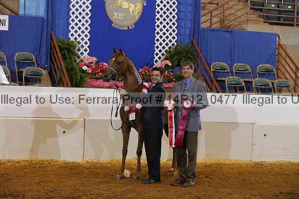Proof 14r12_0477