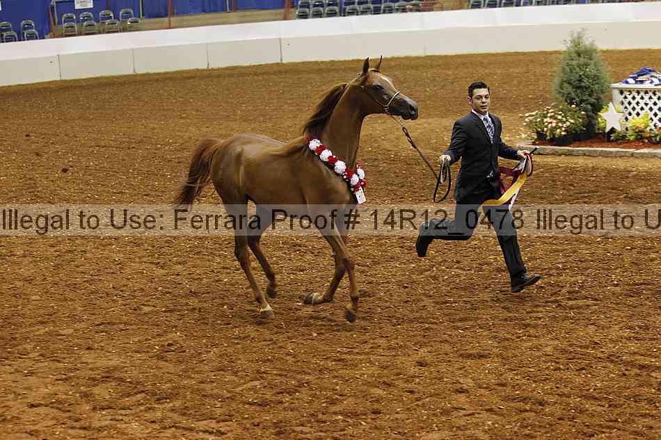 Proof 14r12_0478