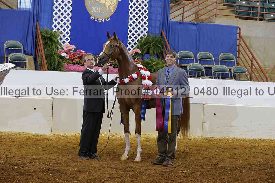 Proof 14r12_0480