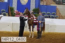 14r12_0480 proof