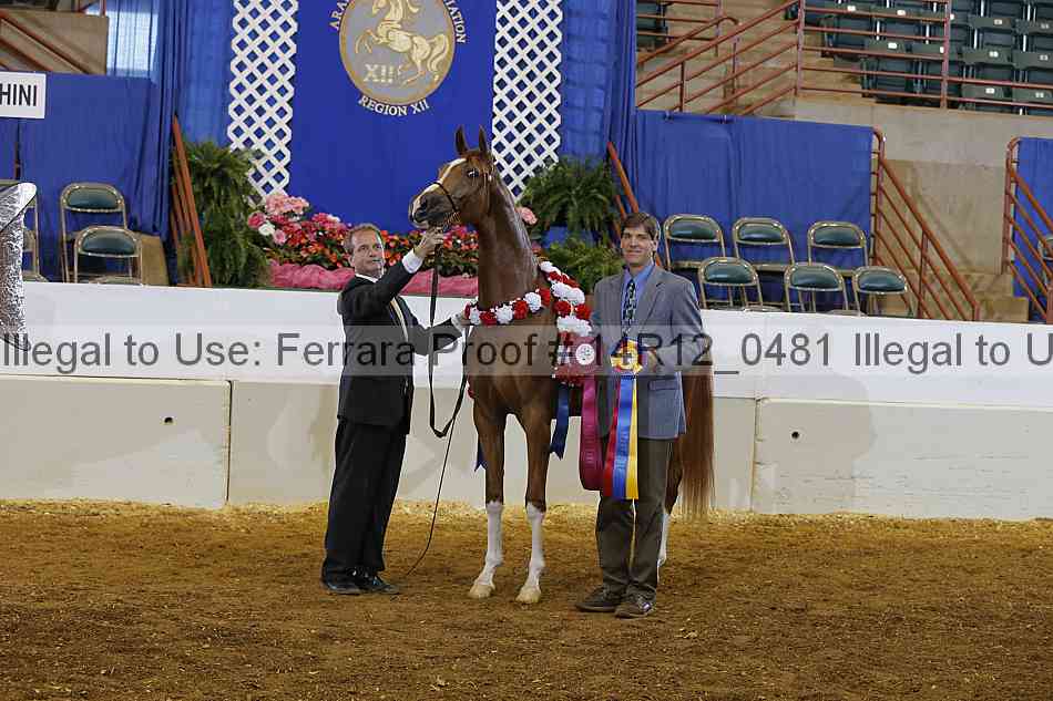 Proof 14r12_0481