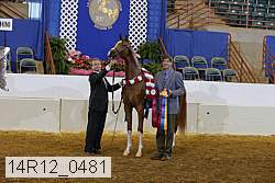 14r12_0481 proof