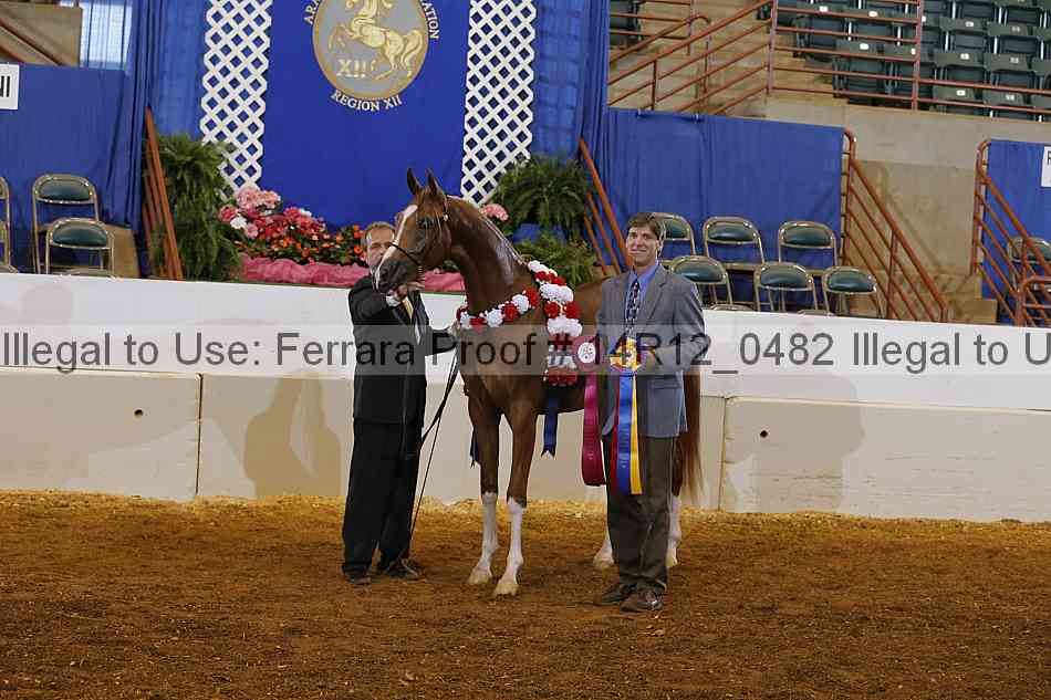 Proof 14r12_0482