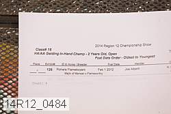 14r12_0484 proof