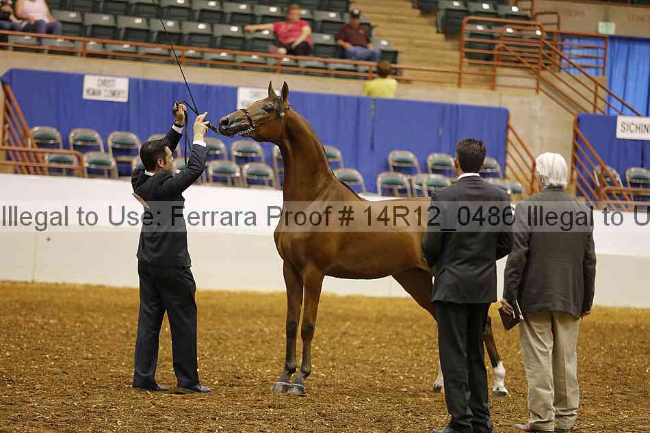 Proof 14r12_0486
