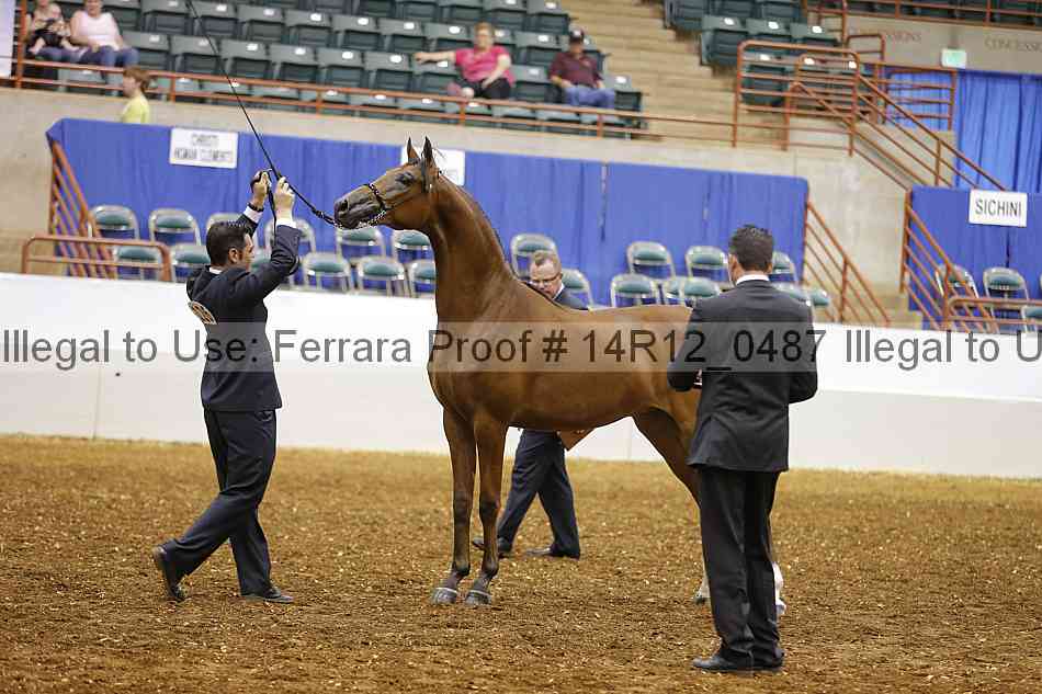 Proof 14r12_0487