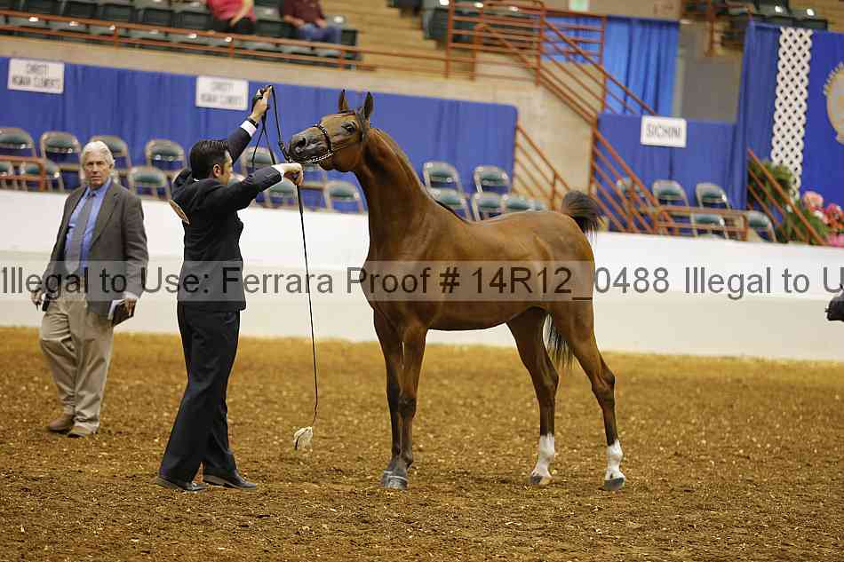 Proof 14r12_0488