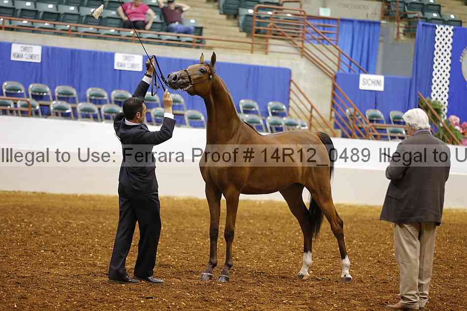 Proof 14r12_0489