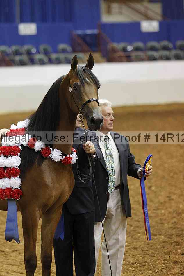 Proof 14r12_0490