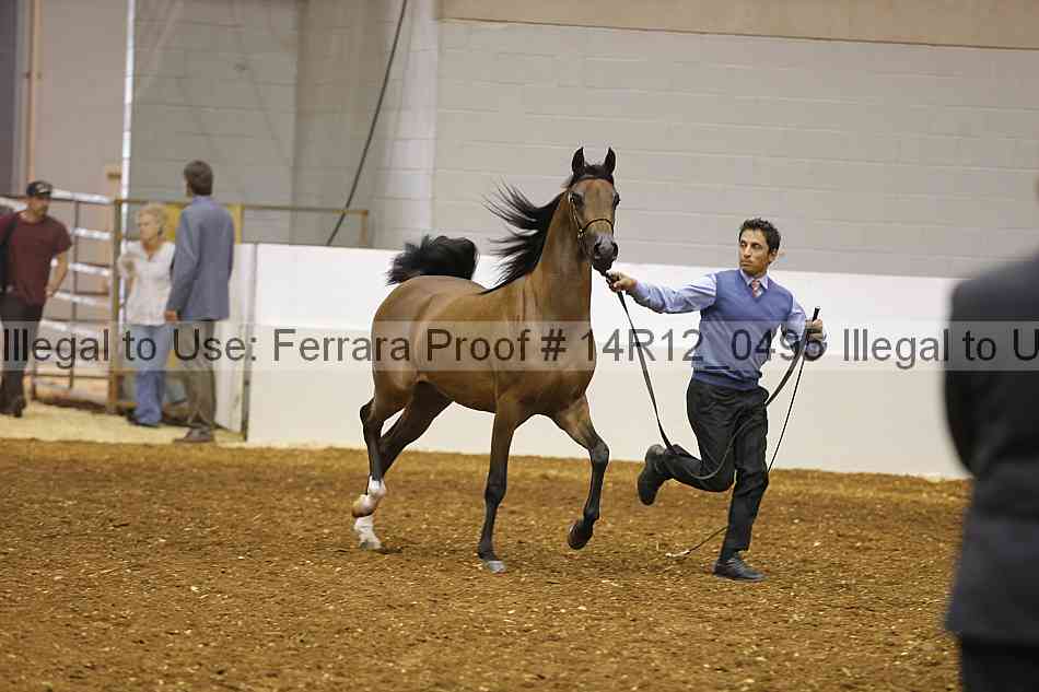 Proof 14r12_0495