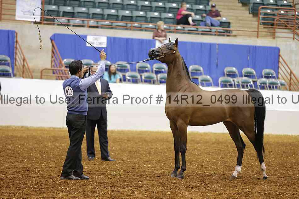 Proof 14r12_0499