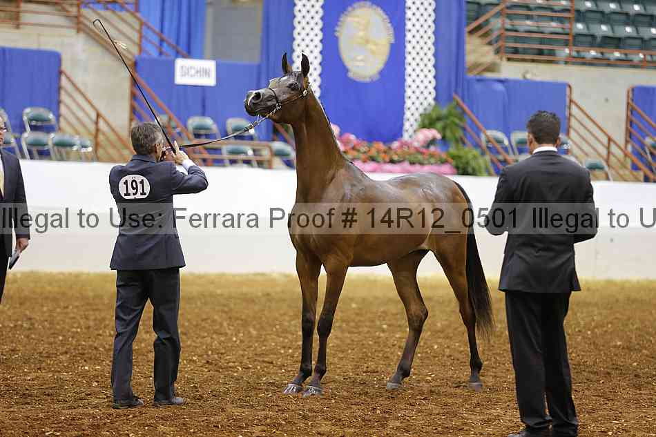 Proof 14r12_0501